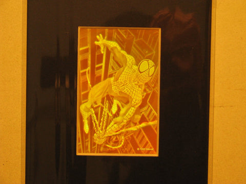 3D Spiderman Matted Hologram Picture, Collectible Polaroid Photopolymer Film