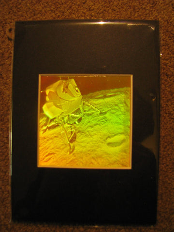 3D Lunar Lander Matted Hologram Picture, Collectible Polaroid Photopolymer Film