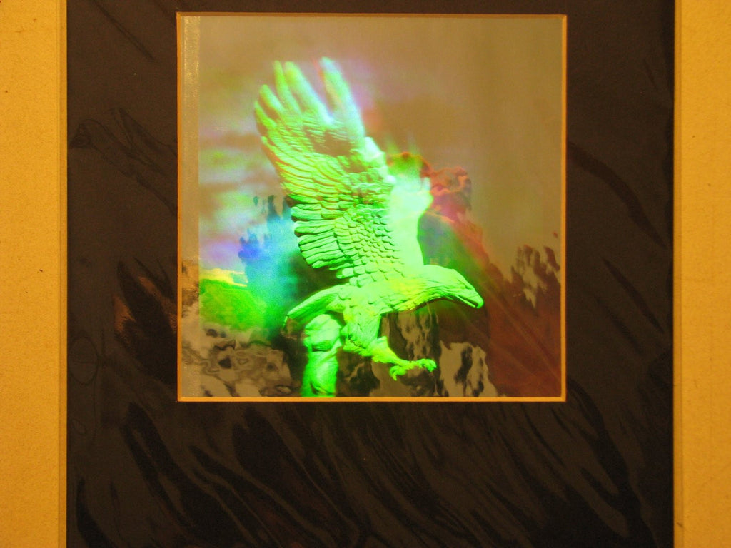 Eagle Matted Hologram Picture, 3D Embossed Type