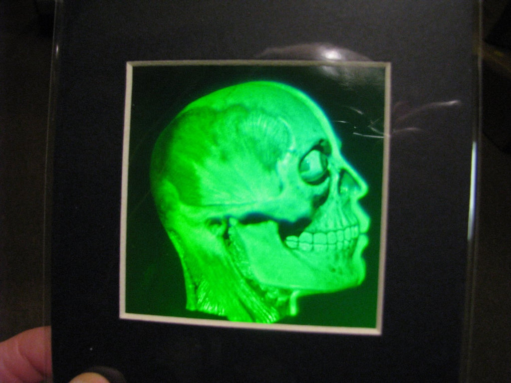 Brain/Skull Matted Hologram Picture, Collectible Polaroid Photopolymer Film